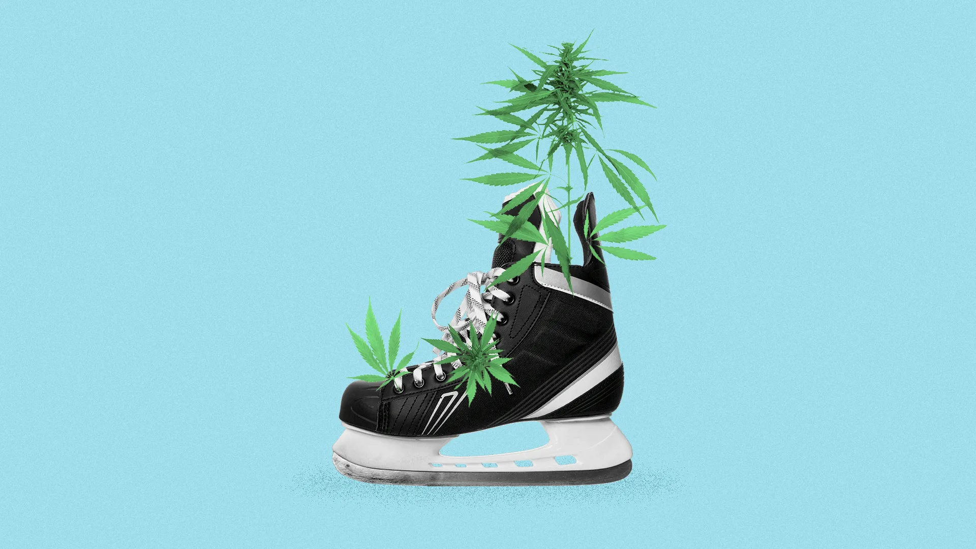 Cannabis in ice hockey boot